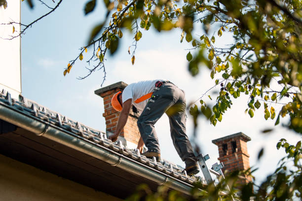 Roof Gutter Cleaning in Tchula, MS
