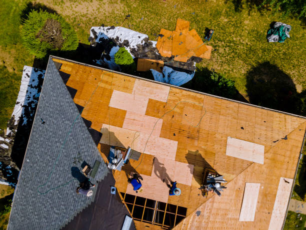 Best Storm Damage Roof Repair  in Tchula, MS