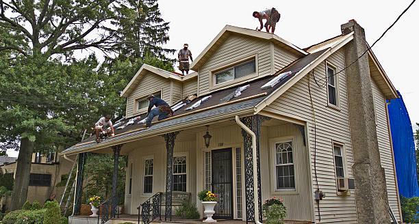 Best Roof Maintenance Services  in Tchula, MS